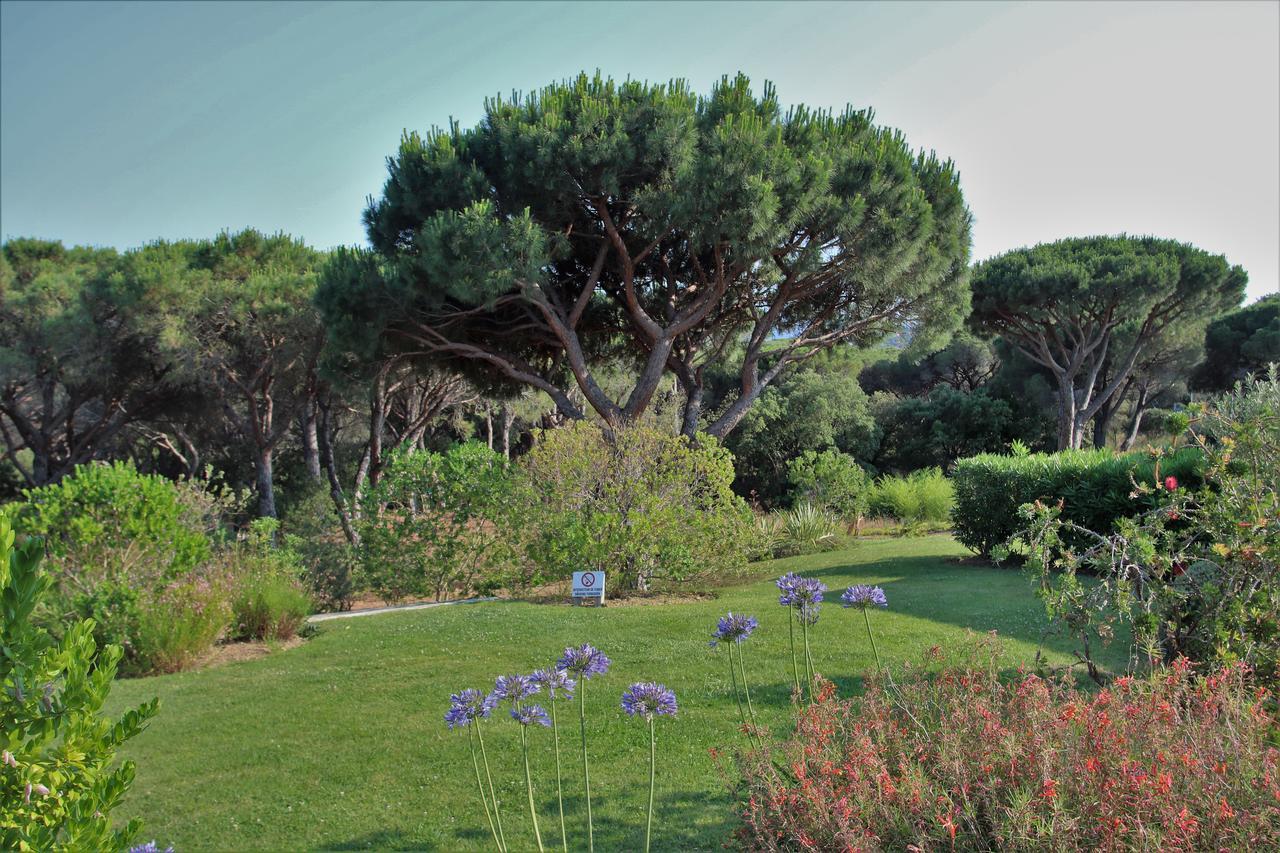 Appartement Les Pins Bleus A8 Sainte-Maxime Buitenkant foto